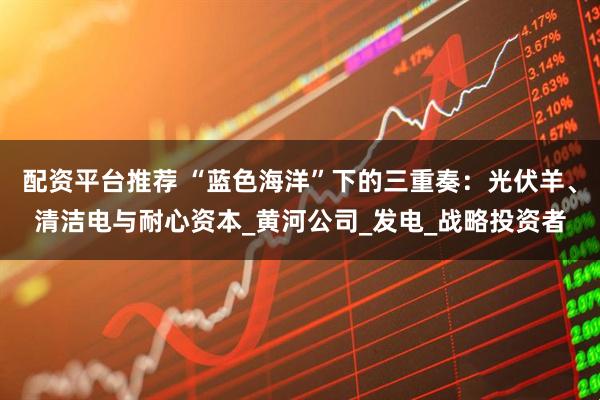 配资平台推荐 “蓝色海洋”下的三重奏：光伏羊、清洁电与耐心资本_黄河公司_发电_战略投资者