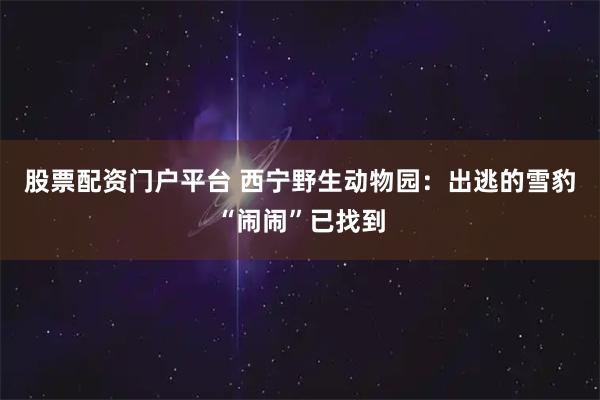 股票配资门户平台 西宁野生动物园：出逃的雪豹“闹闹”已找到