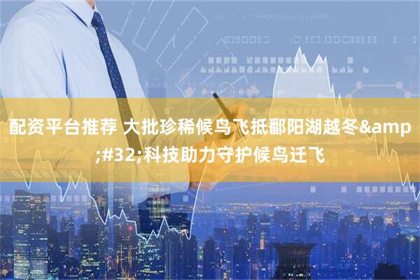 配资平台推荐 大批珍稀候鸟飞抵鄱阳湖越冬&#32;科技助力守护候鸟迁飞